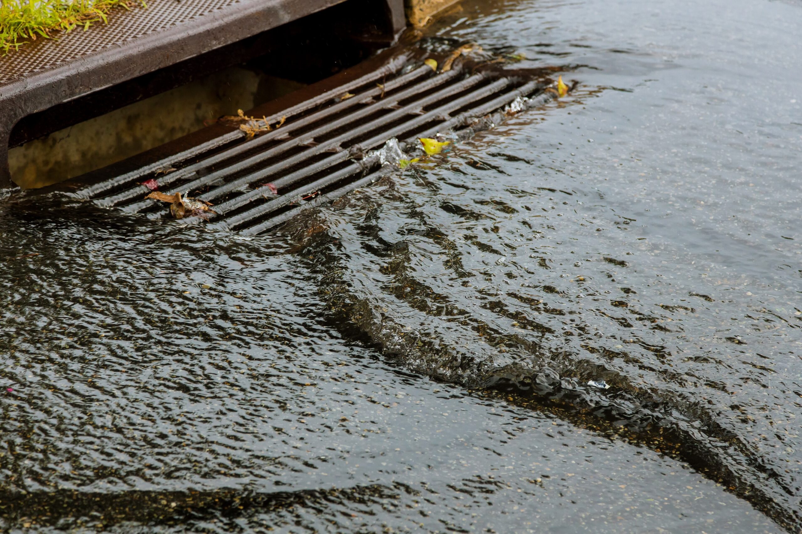 Featured image for “What Can Happen if You Discharge into the Storm Drain?”