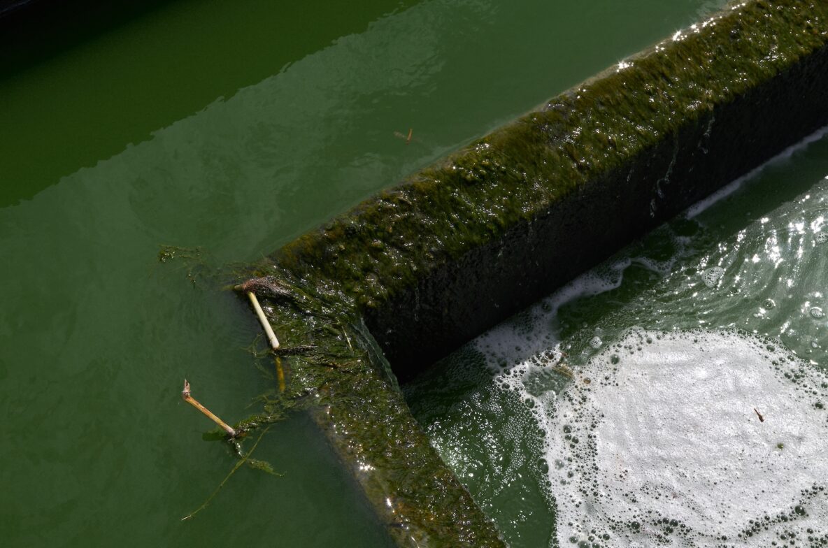 Wastewater flows into the wastewater treatment system