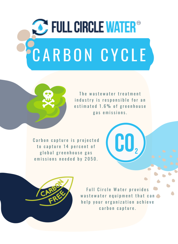 carbon cycle infographic