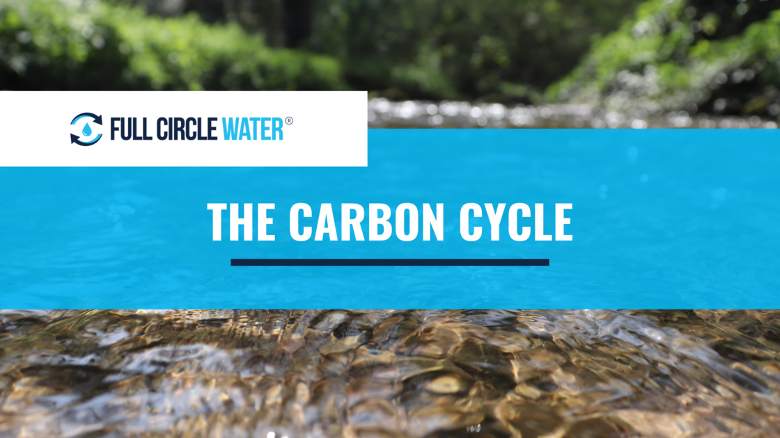Image of clean water and text overlay “The Carbon Cycle”
